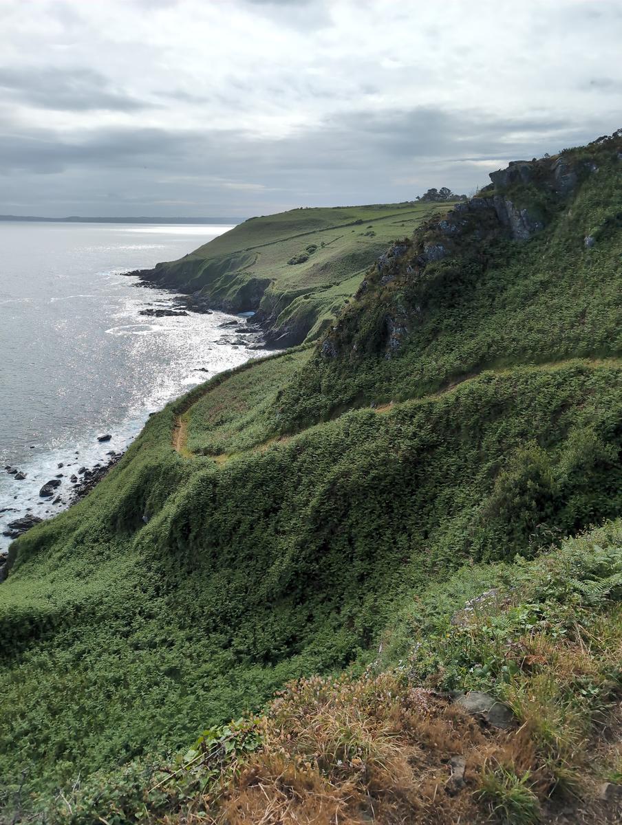 Looking back to Poul Rodou